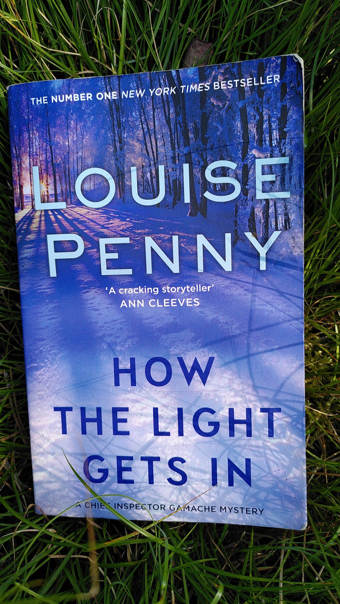 how the lights get in louise penny