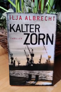Ilja Albrecht - Kalter Zorn - Kiran ermittelt