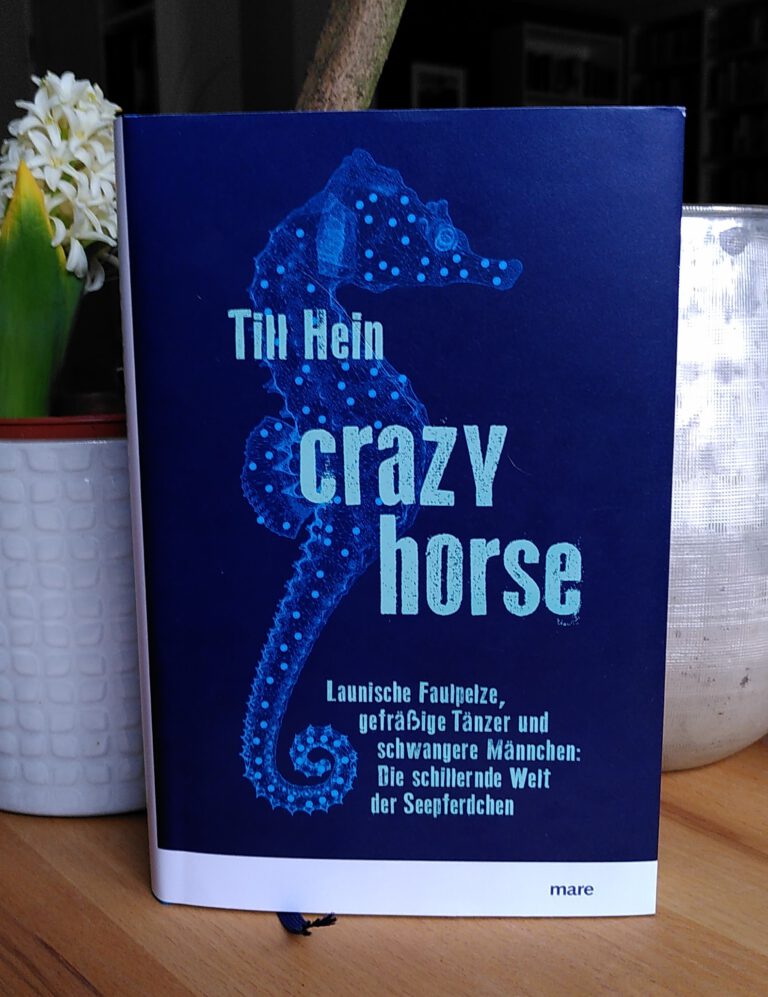 Till Hein - Crazy Horse - Seepferdchen